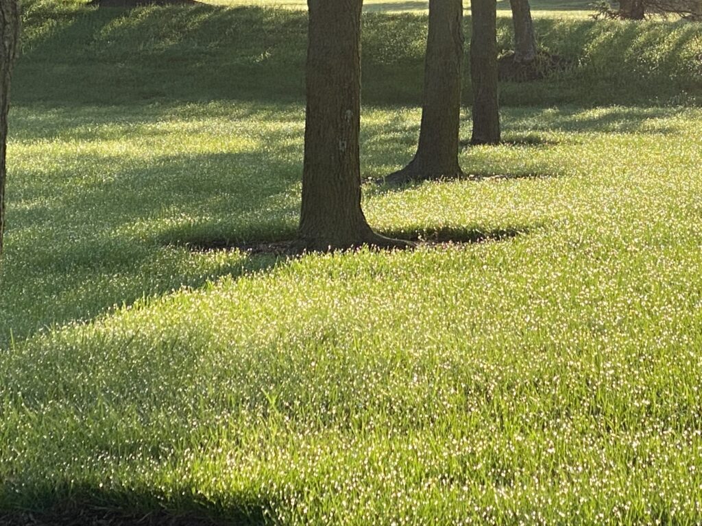 Brandonhall Village to Brandonhall Village in Miamisburg, Ohio